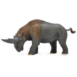 Collecta Prehistorie Arsinoitherium