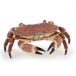 Papo noordzee krab