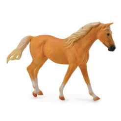 Collecta missouri Fox Trotter Mare