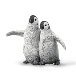 Keizers penguin jongen
