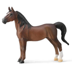collecta American Saddlebred hengst