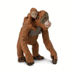 Safari Orangoetan met baby