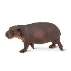 safari dwerg nijlpaard