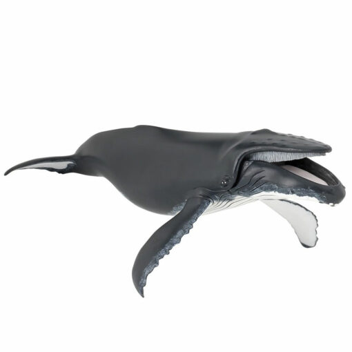 Bultrug Walvis