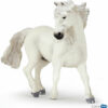 Camarque Paard
