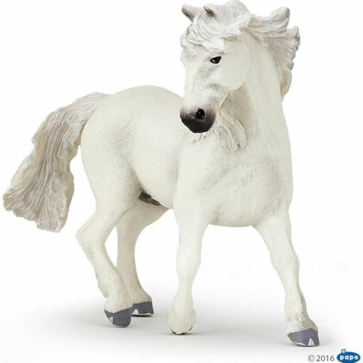 Camarque Paard