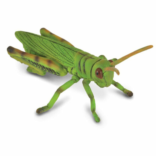 Collecta 3388352 Sprinkhaan 