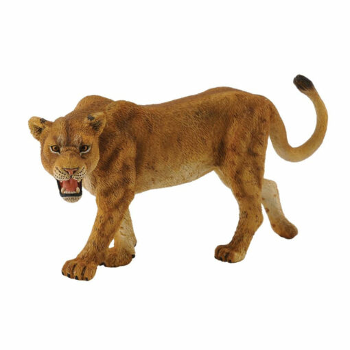 Collecta 3388415 Leeuwin 
