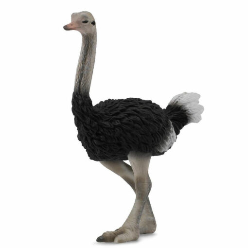 Collecta 3388459 Struisvogel 