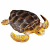 Collecta 88094 Schildpad 