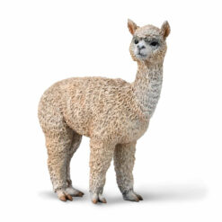 Collecta Alpaca