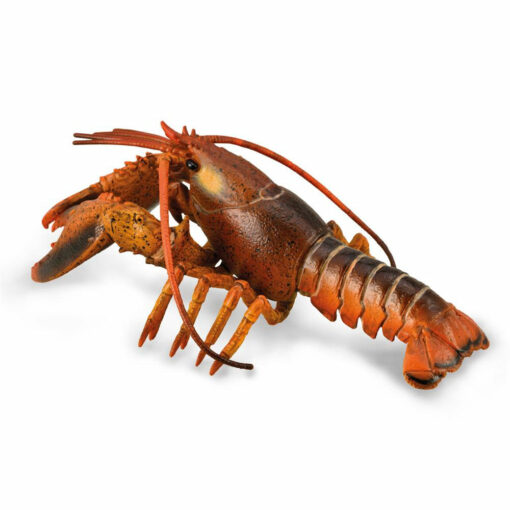 Collecta kreeft