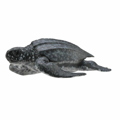 Collecta Lederschildpad