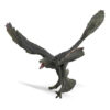 Collecta microraptor