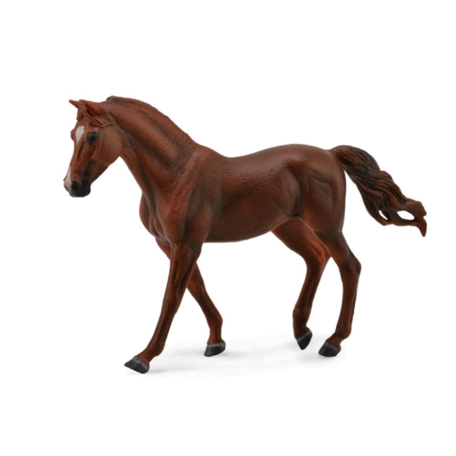 Collecta Missouri Fox trotter mare