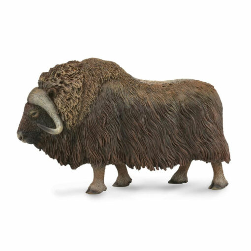 Collecta Muskusos
