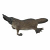 Collecta Vogelbekdier