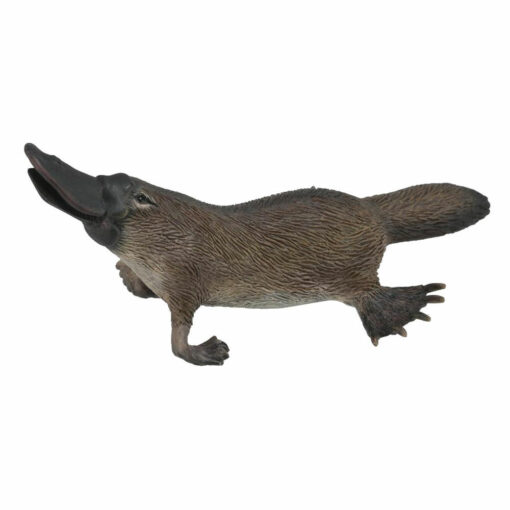 Collecta Vogelbekdier