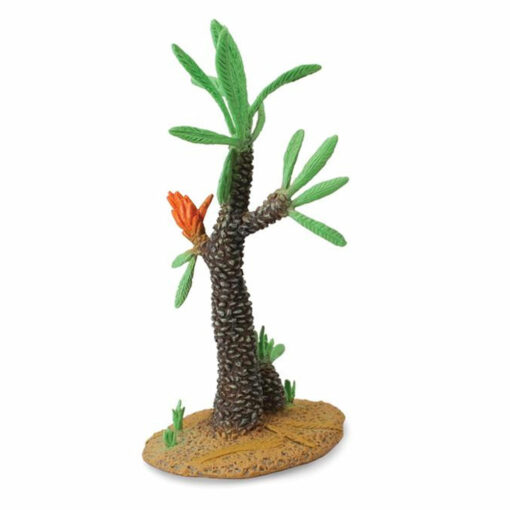 collecta Williamsonia