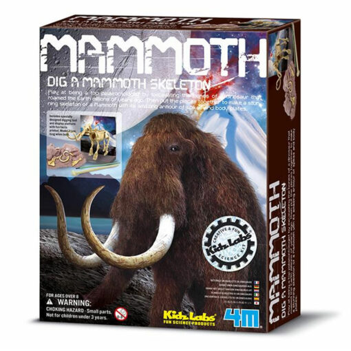 Graaf-Je-Dinosaurus-Op Mammoet