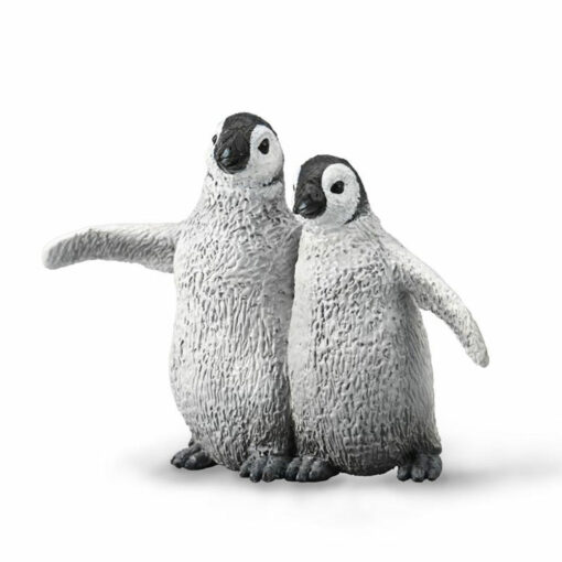 Keizers penguin jongen