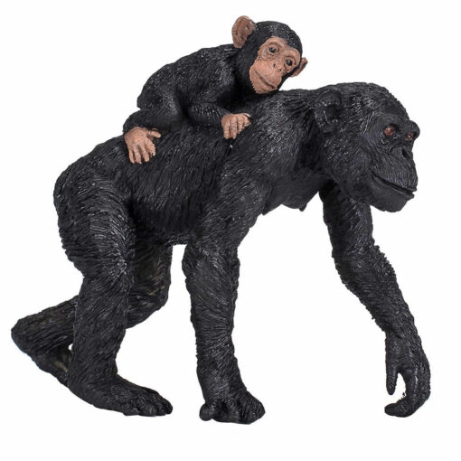 Mojo chimpansee met baby