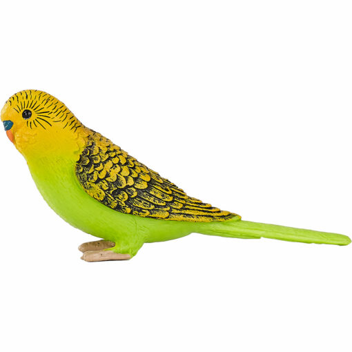 Mojo Grasparkiet Groen