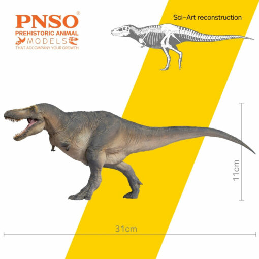 PNSO Chuani the Tarbosaurus