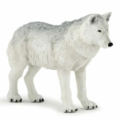 Poolwolf