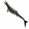 Ron the Mosasaurus
