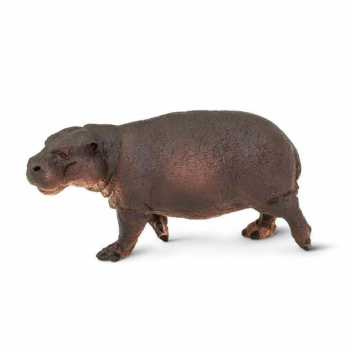 safari dwerg nijlpaard