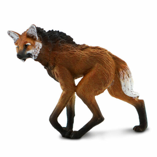 safari maned wolf