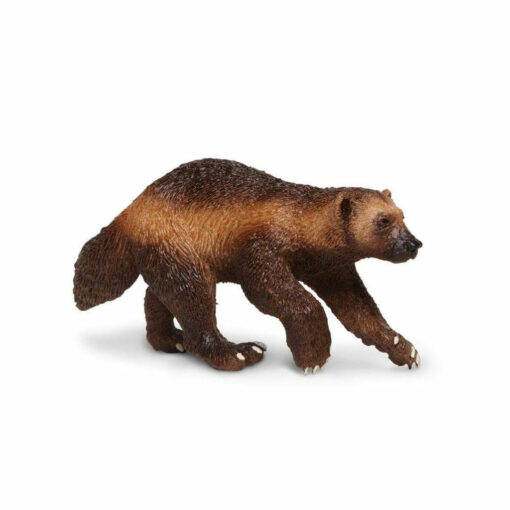 safari wolverine