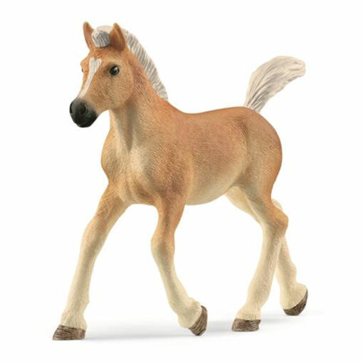 Schleich 13951 Haflinger veulen