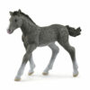 Schleich Trakeher veulen 13944