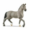 Selle Francais hengst 13956