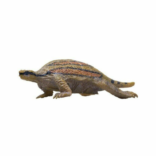 Shelfy the Odontochelys