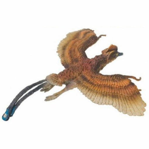 Yoyo the Confusiusornis