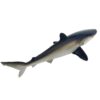 Safari 100208 silky shark