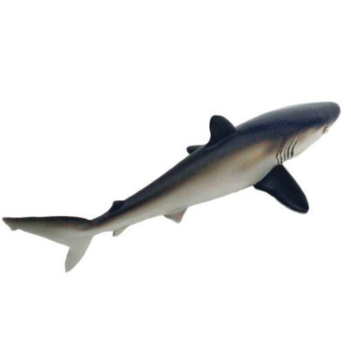 Safari 100208 silky shark