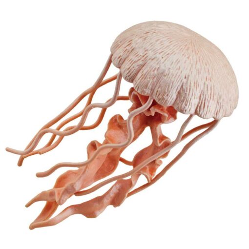 Safari Jellyfish