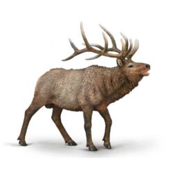 Collecta 80021 Wapiti Eland