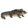 Safari Alligator with Babies 259629