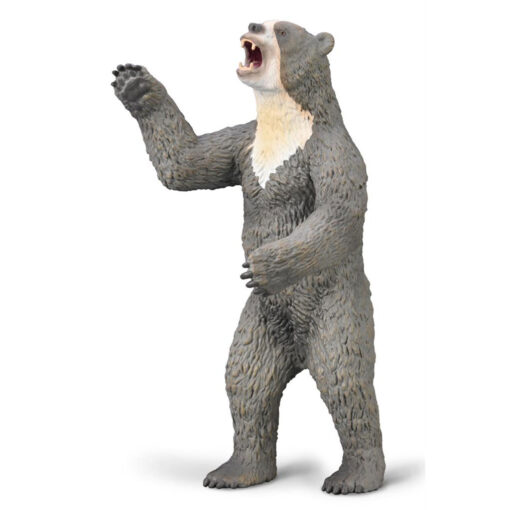Collecta 80026 kortsnuitbeer