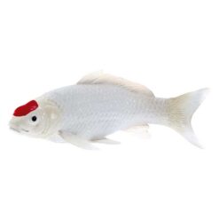 Mojo 381101 Tancho Koi