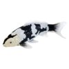 Mojo 381102 Shiro Utsuri Koi