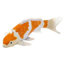 Mojo 381104 Ochiba Shigure Koi