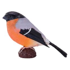 Mojo 381113 Goudvink