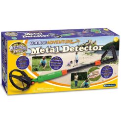 Brainstorm metal detector