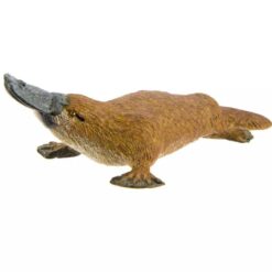 safari vogelbek dier